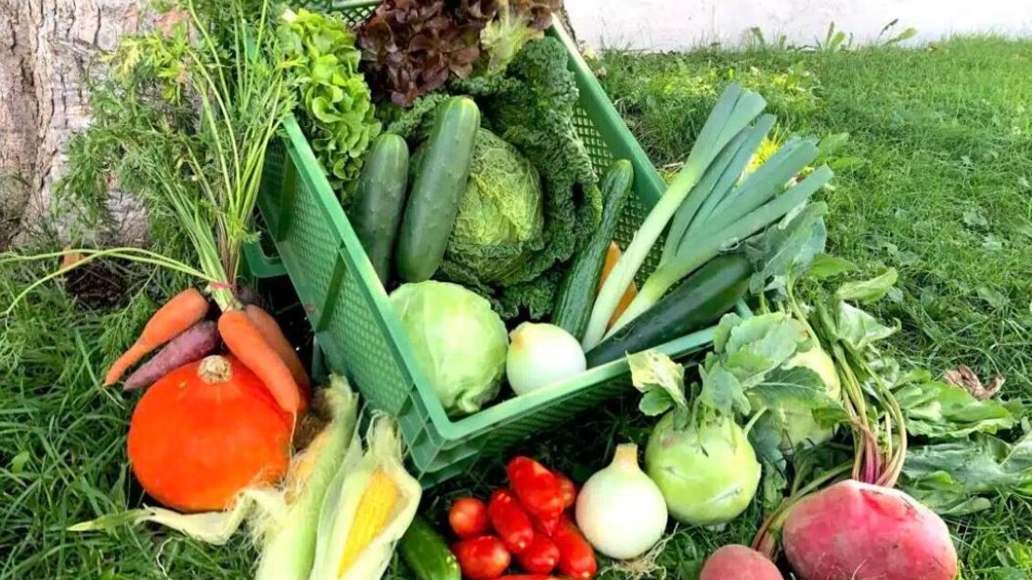 Frisch geerntetes Gemüse wie Karotten, Salat, Kürbis und Kohl in einer Kiste auf der Wiese. | © Garten am Berg