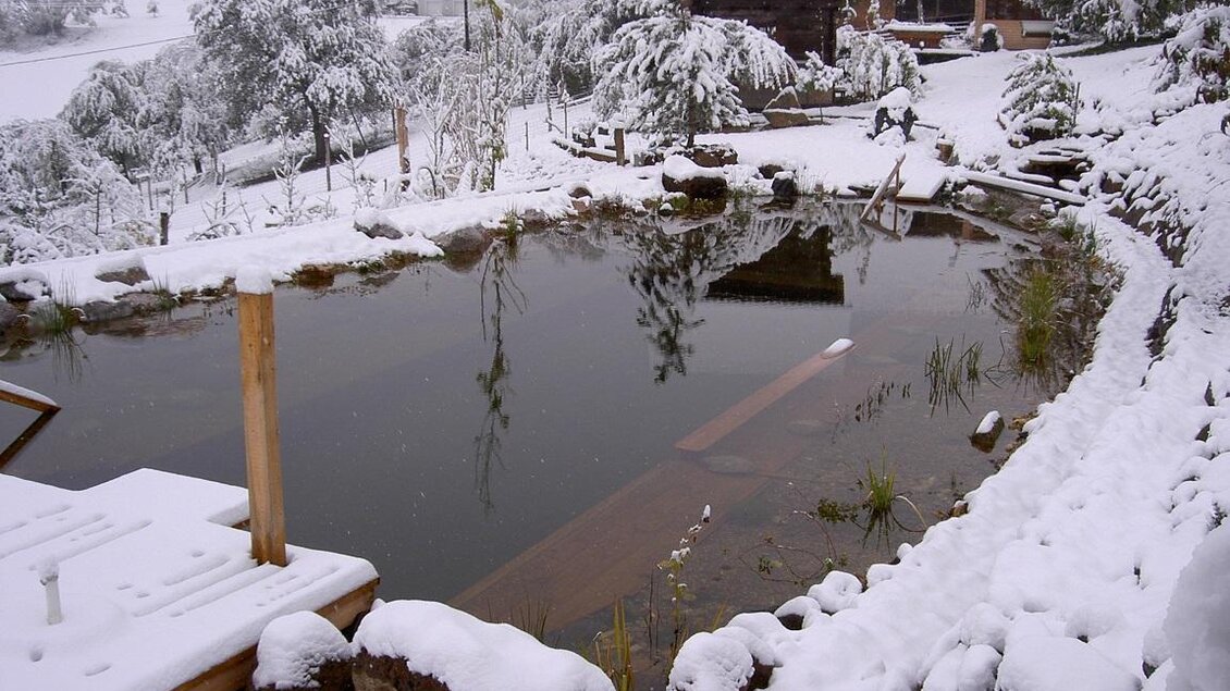 Garten mit Schwimmteich im Winter | © Richard Wilfling