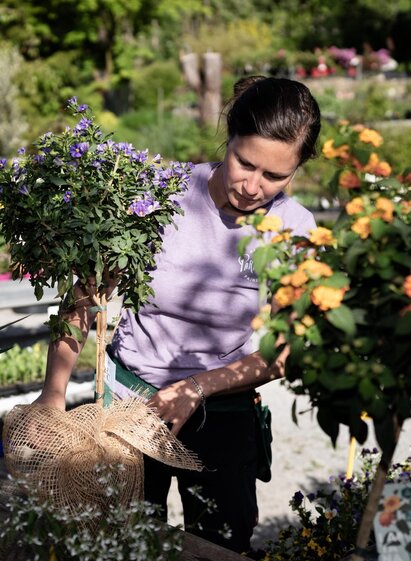 Topfpflanzen im Gartenparadies Painer | © Bernd Grosseck | © Bernd Grosseck