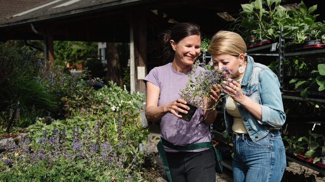 Mitarbeiterin hält einer Kundin einen Topf mit violett blühenden Kräutern zum Riechen, im Gartenparadies Painer. | © Bernd Grosseck
