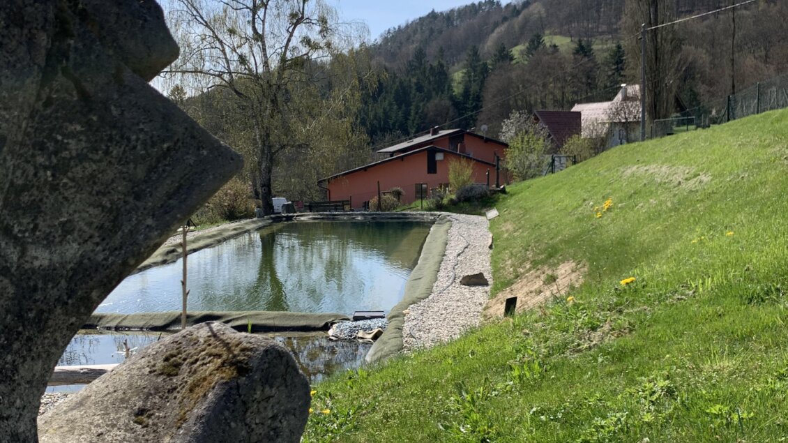 Eine ruhige Landschaft mit einem Teich und einem roten Gebäude im Hintergrund. Bäume und grünes Gras umgeben die Szene.
