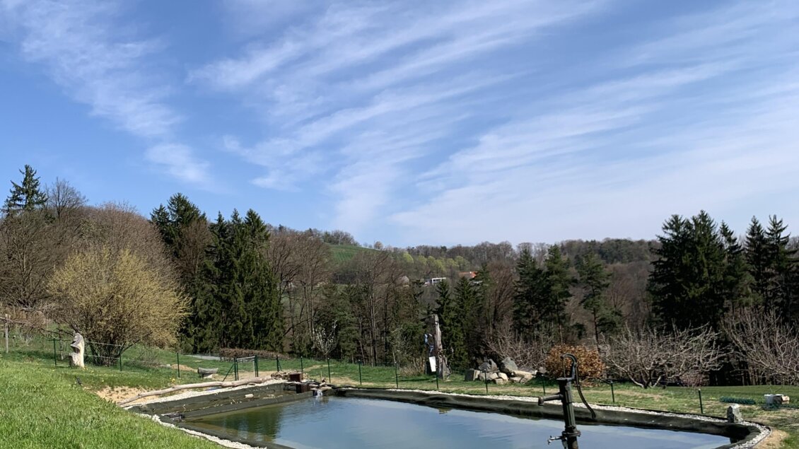 Eine ruhige Landschaft mit einem kleinen Teich und grünem Gras. Der Himmel ist blau mit einigen Wolken und Bäumen in der Umgebung.