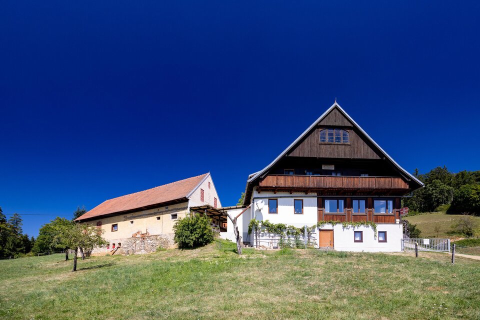 Gasthaus Orthacker - Impression #1 | © Region Graz - Harry Schiffer