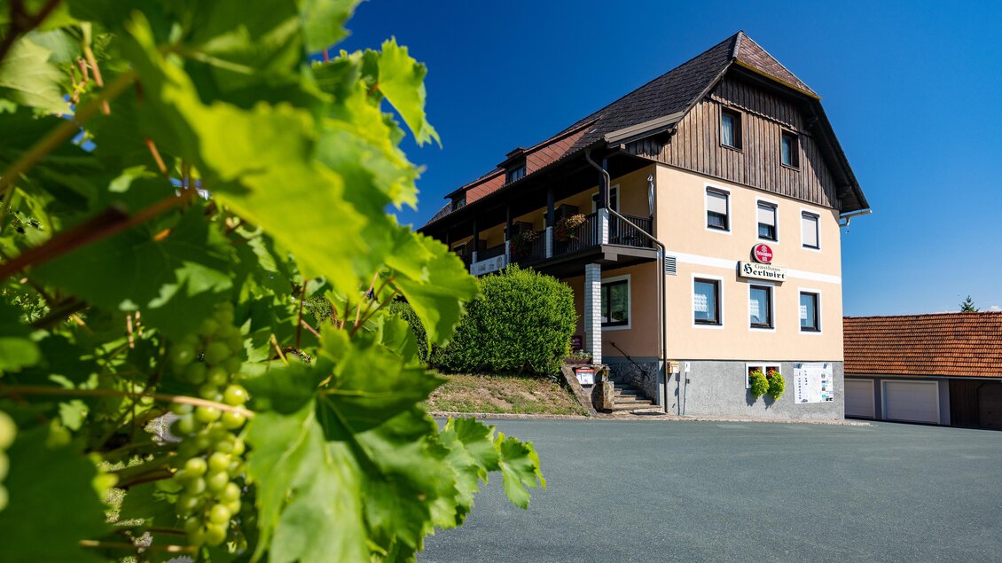 Gasthof Herlwirt in Ligist, Steiermark, mit Vorplatz, Balkon und Weinlaub im Vordergrund. | © TV Region Graz - Harry Schiffer