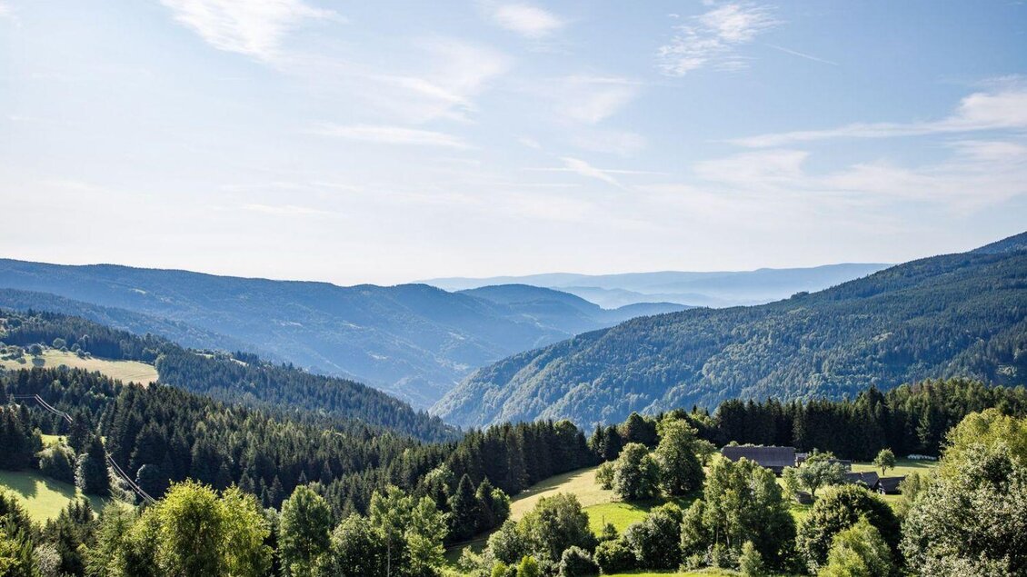 Eine malerische Landschaft mit sanften Hügeln und dichten Wäldern. Der klare Himmel und die grünen Wiesen schaffen eine friedliche Atmosphäre. | © Gasthof Mörth