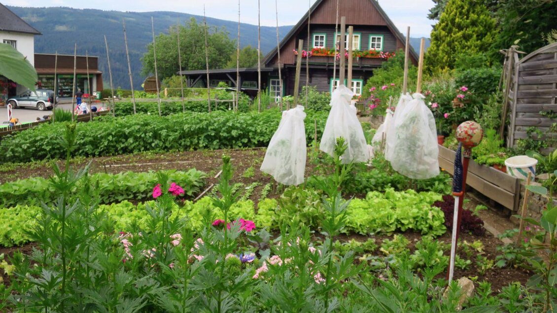 Ein blühender Garten mit Gemüsepflanzen und bunten Blumen. Im Hintergrund steht ein traditionelles Haus und die Landschaft ist von Bergen umgeben. | © Gasthof Mörth