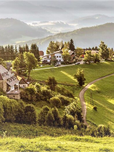 Panorama 2 | © Gasthof Pöllauerhof