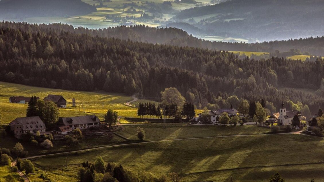 Eine malerische Landschaft mit sanften Hügeln und dichten Wäldern. Im Vordergrund liegen kleine Bauernhäuser, umgeben von grünen Wiesen. | © Gasthof Pöllauerhof