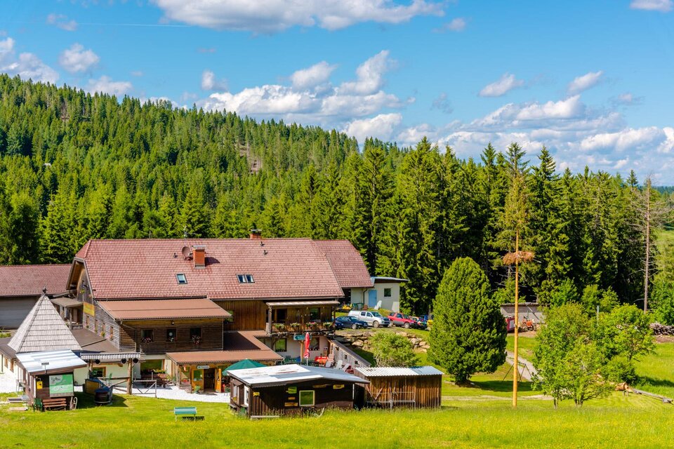 Gasthof Rieseralm - Impression #1 | © Gasthof Rieseralm