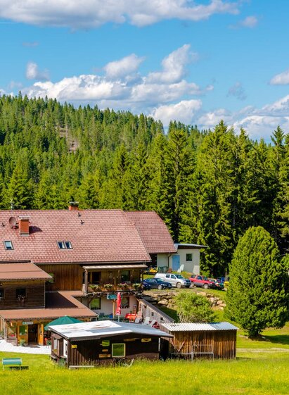 GasthofRieseralm-Außenansicht1-Murtal-Steiermark | Gasthof Rieseralm | © Gasthof Rieseralm