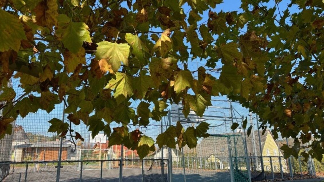 Generationenpark - Impressionen #2.5