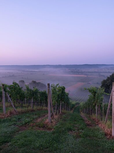 Ausblick vom Genusshof ins Raabtal | © Krenn-Kniely