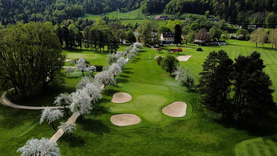 Luftaufnahme des Golfclubs Murhof mit blühender Baumallee, Fairway, Bunkern und Clubhaus im Hintergrund in Frohnleiten.
 | © Golferlebnis Steiermark - Manuel Wiedner