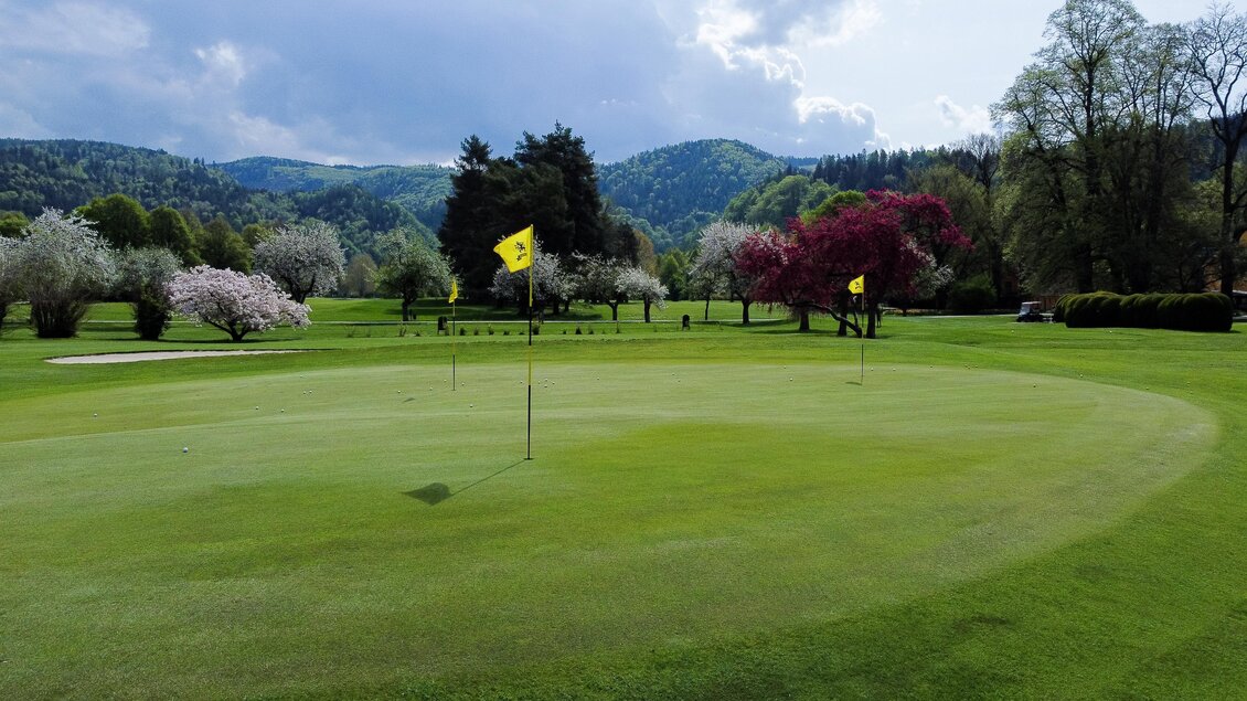 Blick über das Putting Green des Golfclub Murhof in Frohnleiten mit Fahne, Bäumen und bewaldeten Hügeln. | © Golferlebnis Steiermark - Manuel Wiedner