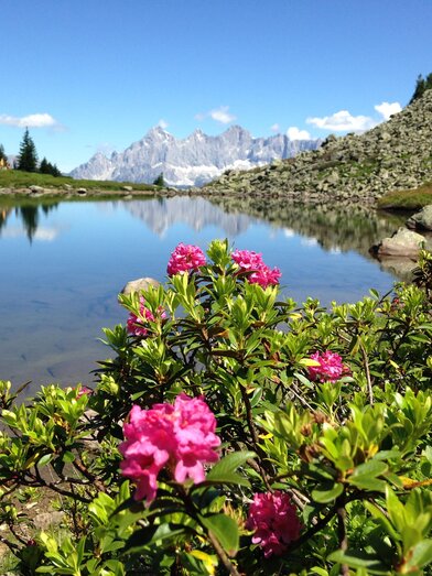Reiteralm Spiegelsee | © Reiteralm Bergbahnen