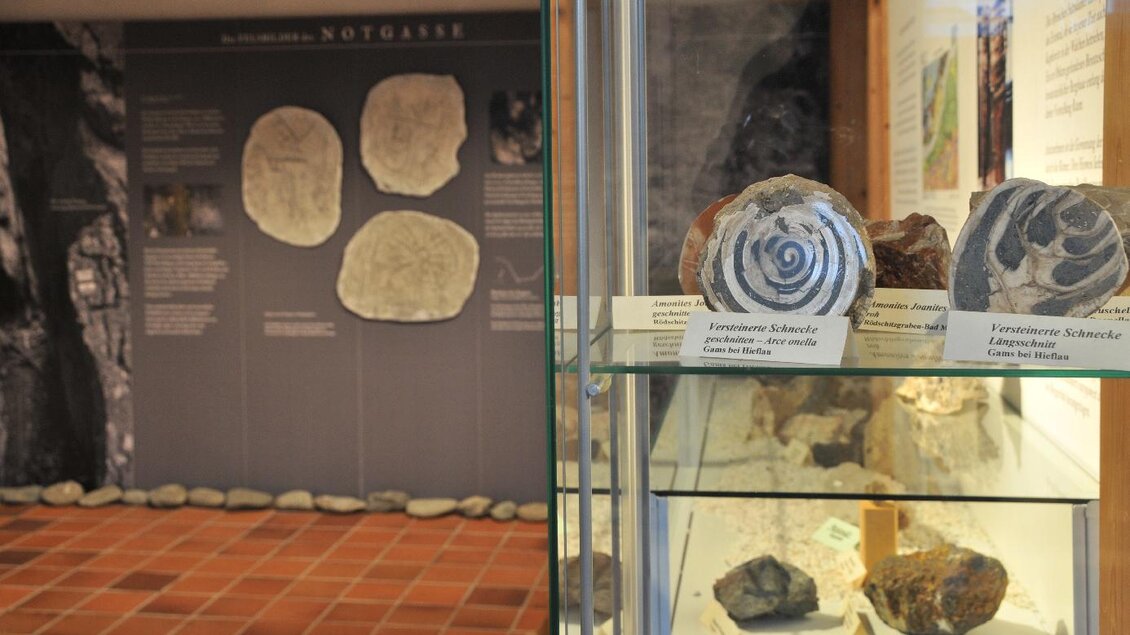 Bergbau und Mineralien der Region | © Gröbming Musem