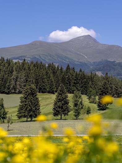 Greim im Frühling | © Tourismusverband Murau