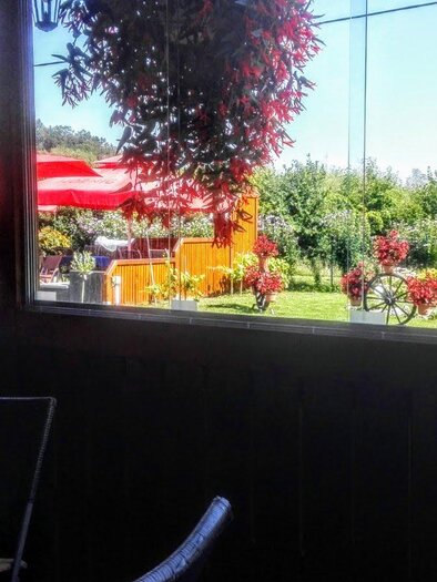 Ein schöner Garten mit bunten Blumen und einer Terrasse mit roten Sonnenschirmen. Im Hintergrund sind grüne Bäume und strahlend blauer Himmel sichtbar. | © Grottenhofer Stub´n