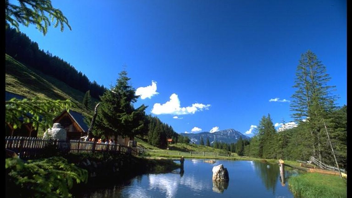 Schmiedalm im Gumpental | © Schmiedalm