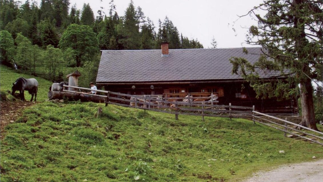 Maierlalm im Gumpental | © Maierlalm/Fam. Hofer