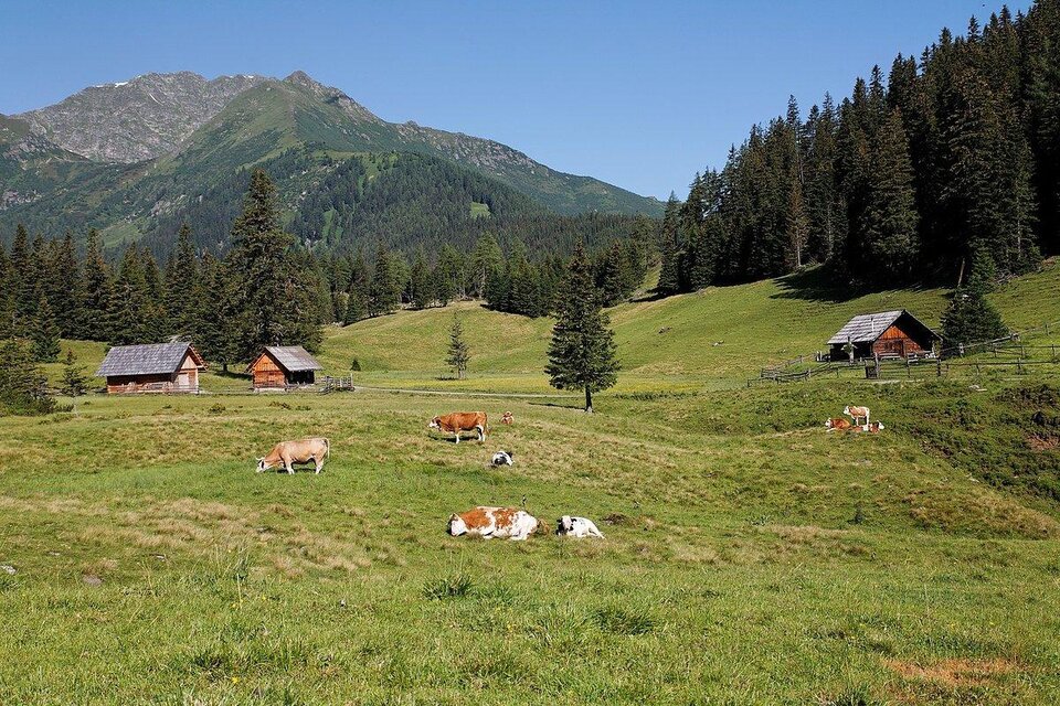 Hölleralm - Familie Neubauer - Impression #1 | © Herbert Raffalt