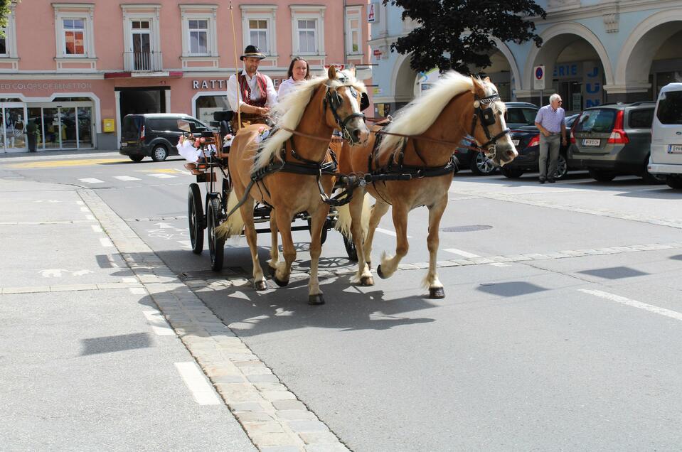Haflinger carriage rides Murtal (Fam.Katschnig/Gomm) - Impression #1 | © Katschnig