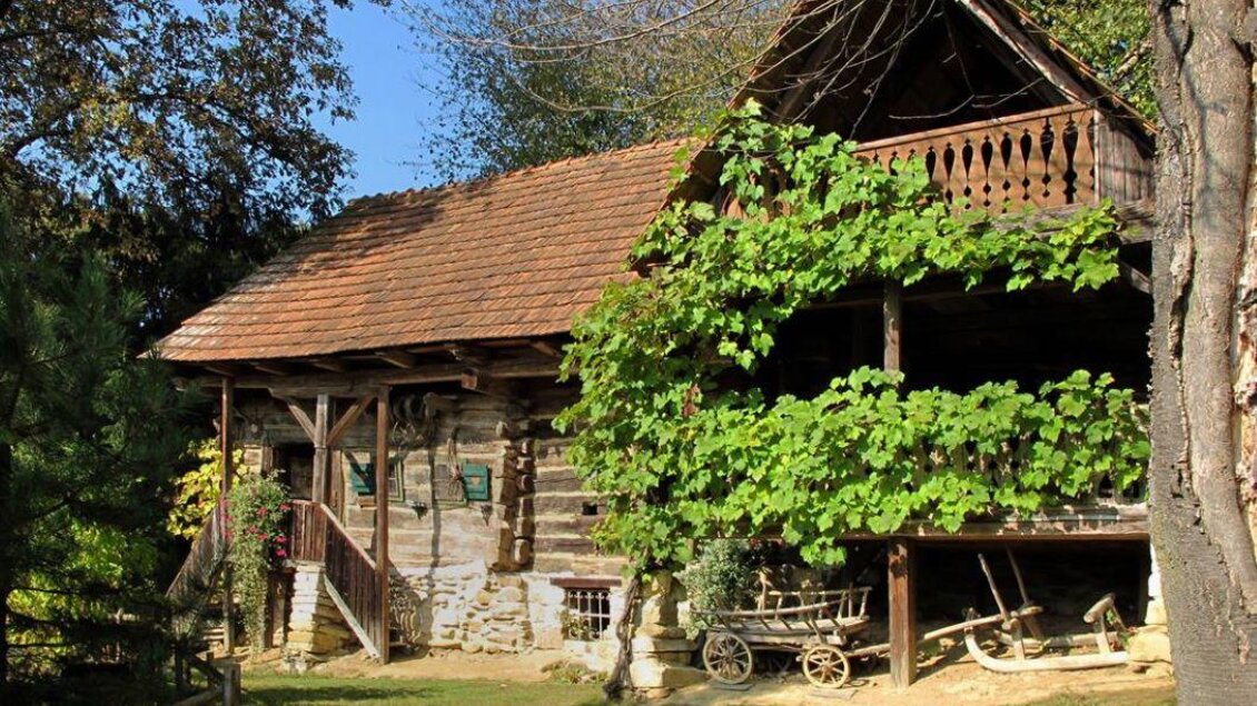 Ein charmantes Holzhaus umgeben von grünen Pflanzen und Bäumen. Die Fassade ist mit Efeu bewachsen und der Himmel ist klar und blau. | © Gemeinde St. Veit in der Südsteiermark