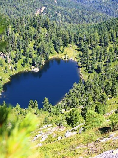 Blick auf Hauserersee | Karin Maier | © TVB Murau
