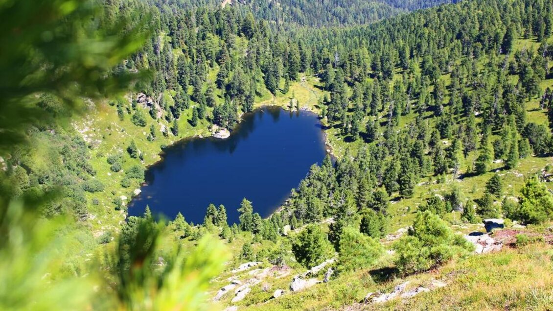 Blick auf Hauserersee | © TVB Murau