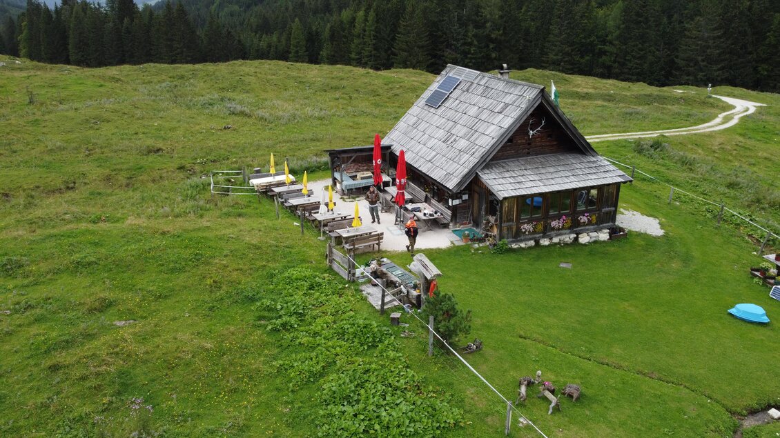 Eine gemütliche Berghütte auf einer grünen Wiese. Umgeben von Bäumen und mit Tischen im Freien. | © Hotel DER HECHL