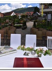 Baumschule Höfler_Hochzeit_Oststeiermark (1) | © Baumschule Höfler | © Baumschule Höfler