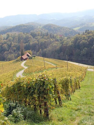 Herzerlstraße | TV Südsteiermark | © Ulrike Elsneg