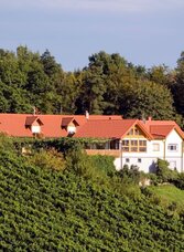Blick zum Rosenbergl | © Heuriger Rosenbergl | Familie Kirwasser | © Heuriger Rosenbergl