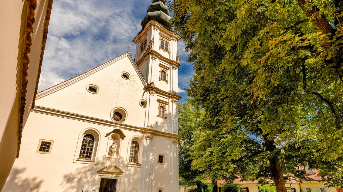 Historische Kirche mit Kirchturm und umgebender Grünanlage in Bad Radkersburg im Südosten der Steiermark, eingerahmt von großen Laubbäumen. | © Zehnerhaus Bad Radkersburg