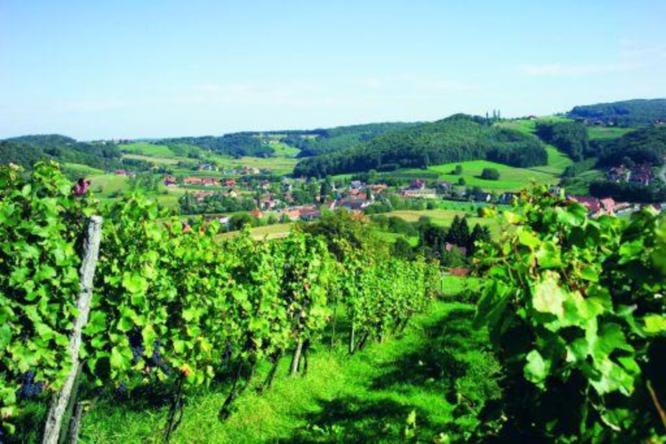Hochleitners wine tavern and winery in St. Anna/A. - Impression #1 | © TVB Thermen- & Vulkanland