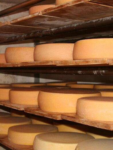 Hochschwab Käse