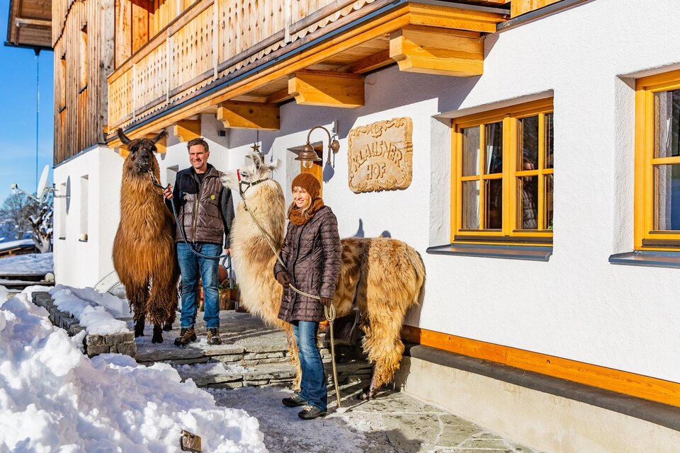Klausnerhof farm shop - Impression #1 | © TVB Haus-Aich-Gössenberg@René Eduard Perhab