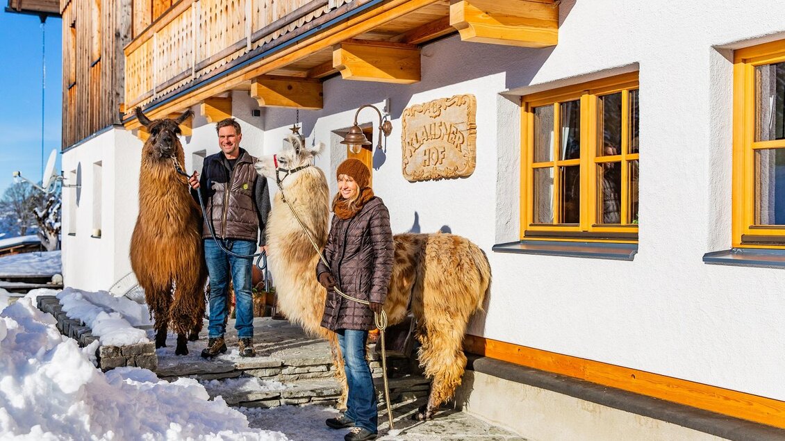 Ein Paar steht vor einem Holzhaus im Schnee, umgeben von zwei Lamas. Die Sonne scheint und der Himmel ist klar. | © TVB Haus-Aich-Gössenberg@René Eduard Perhab