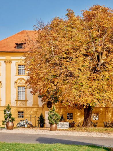 Ein elegantes Gebäude mit gelber Fassade und schönem roten Dach. Ein großer, herbstlich gefärbter Baum steht im Vordergrund. | © Tauroa GmbH
