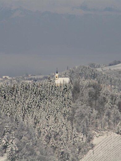 Hohenegg Kapelle | Tourismusverband Südsteiermark | © Tourismusverband Südsteiermark