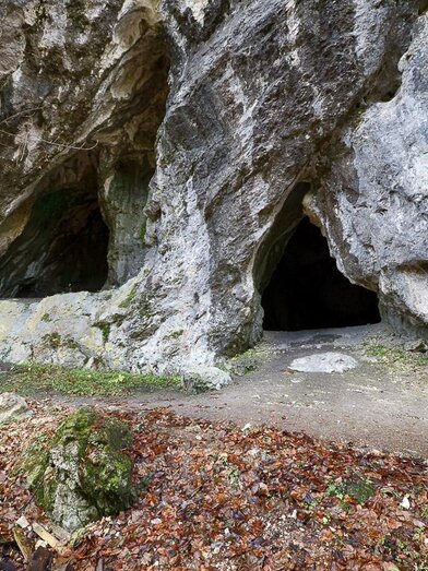 Hohlensteinhöhle | Fred Lindmoser | © www.mariazell.blog