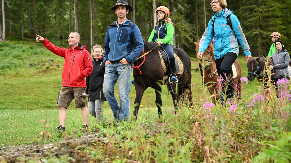 Pferde Schladming | © Breilerhof