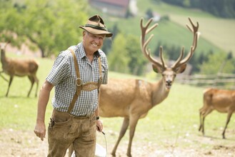 Hotel Muhr_Deer Feeding_Eastern Styria | © Karl Schrotter