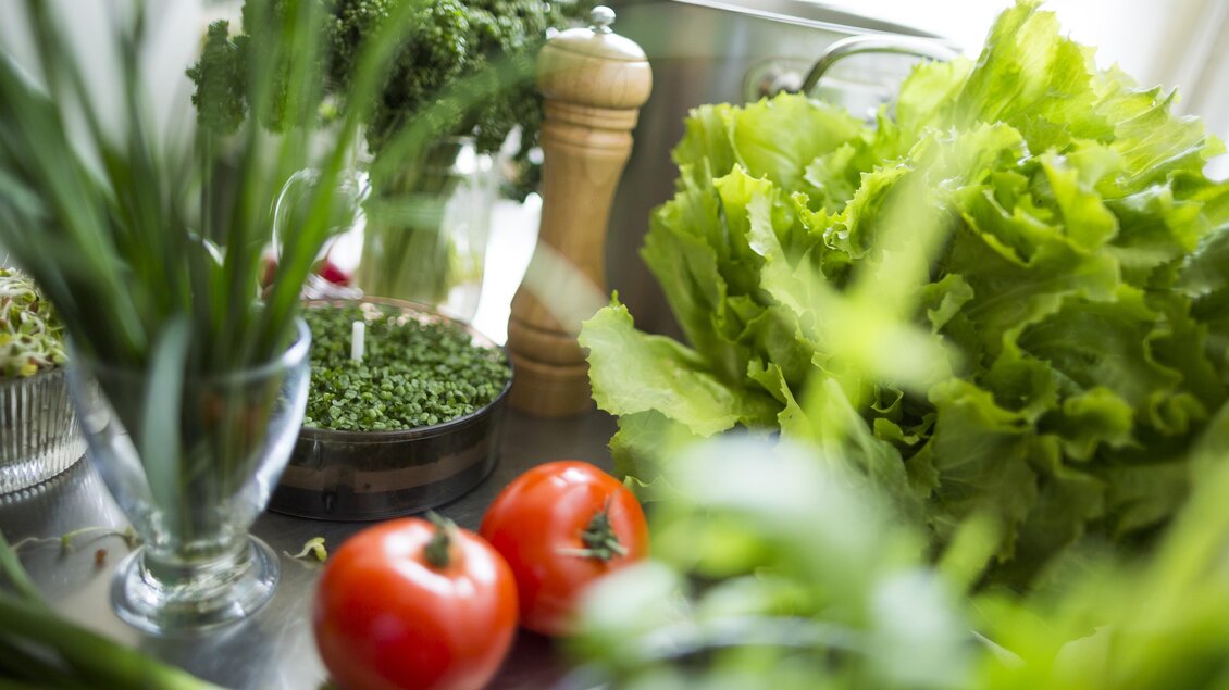 Ein frisches Gemüsearrangement mit Tomaten, Kopfsalat und Kräutern. Die Zutaten sind bunt und gesund, ideal für die Zubereitung eines Salates. | © Karl Schrotter