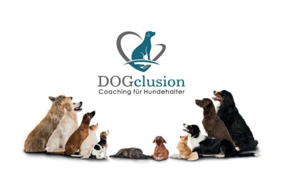 dog school: DOGclusion - Impression #1 | © DOGclusion