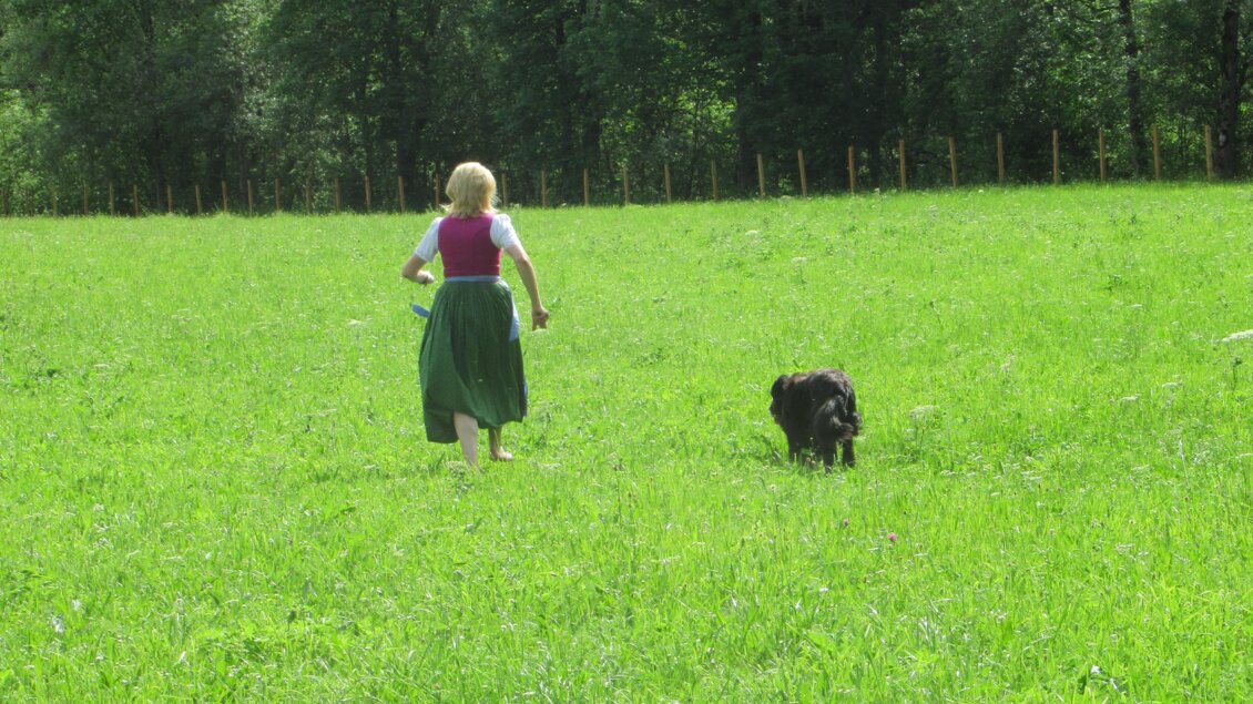 Eine Person läuft mit einem Hund über eine grüne Wiese. Im Hintergrund sind Bäume zu sehen. | © Stadtgemeinde Schladming