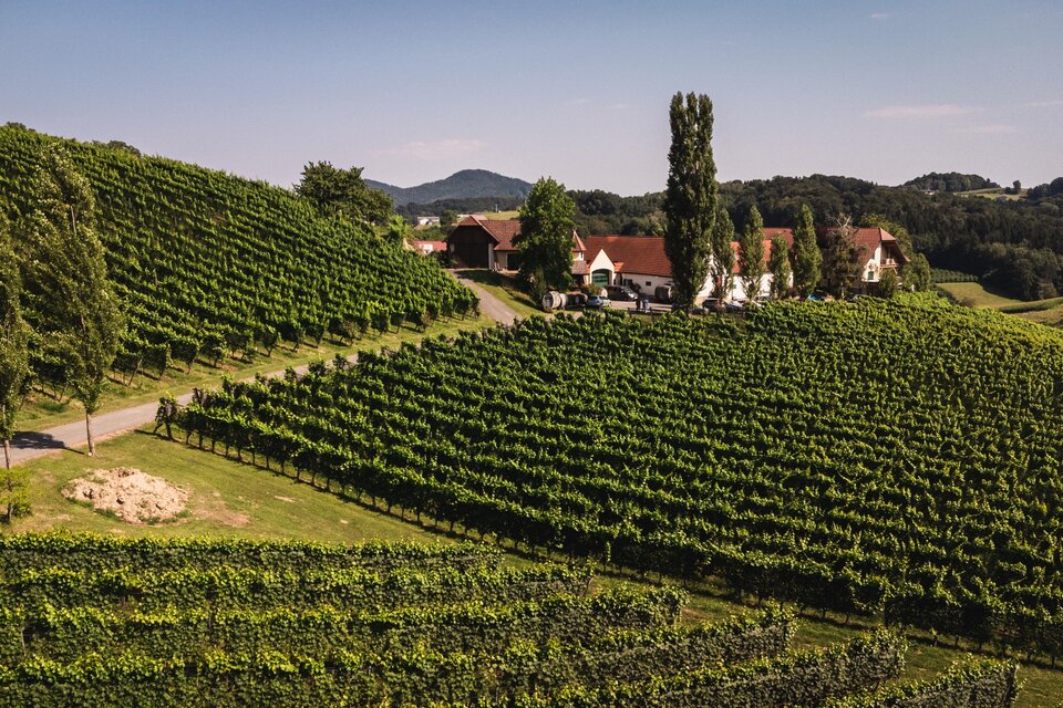 Hutter natur|wein|gut Feldbach - Impression #1 | © Thermen- & Vulkanland