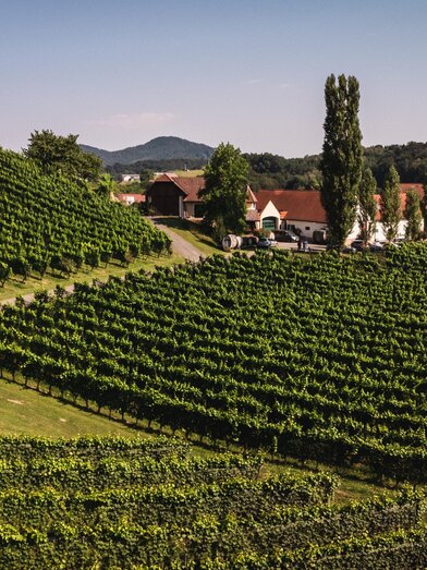Weinberge aus der Vogelperspektive | © Thermen- & Vulkanland | Matthew Nelson | © Thermen- & Vulkanland