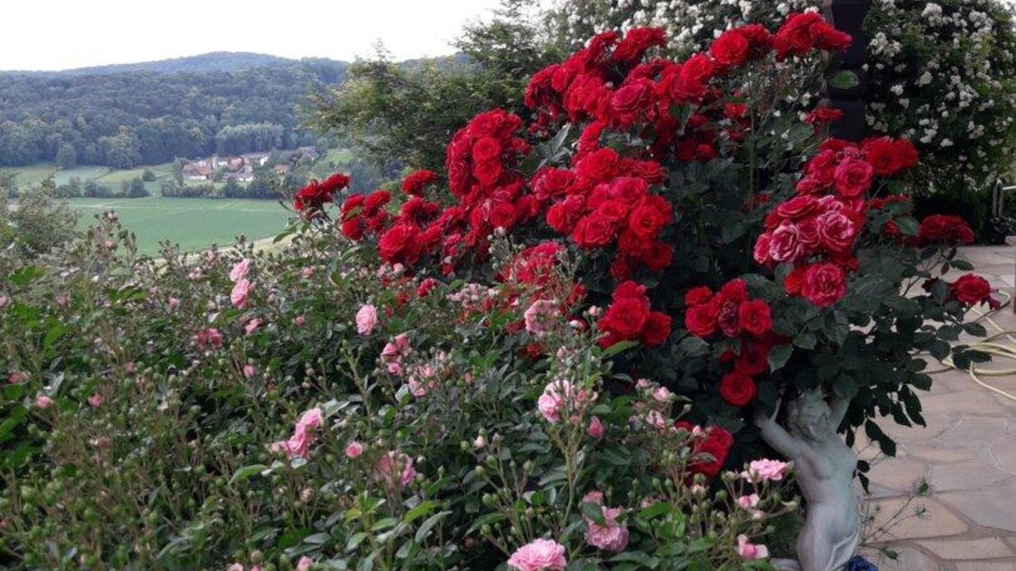 Maria Raab Idea Garden in Poppendorf - Impressionen #2.1