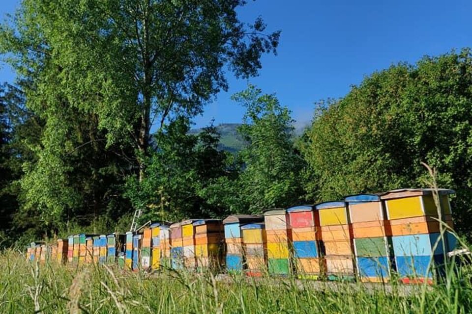 Peter Raninger Beekeeping - Impression #1